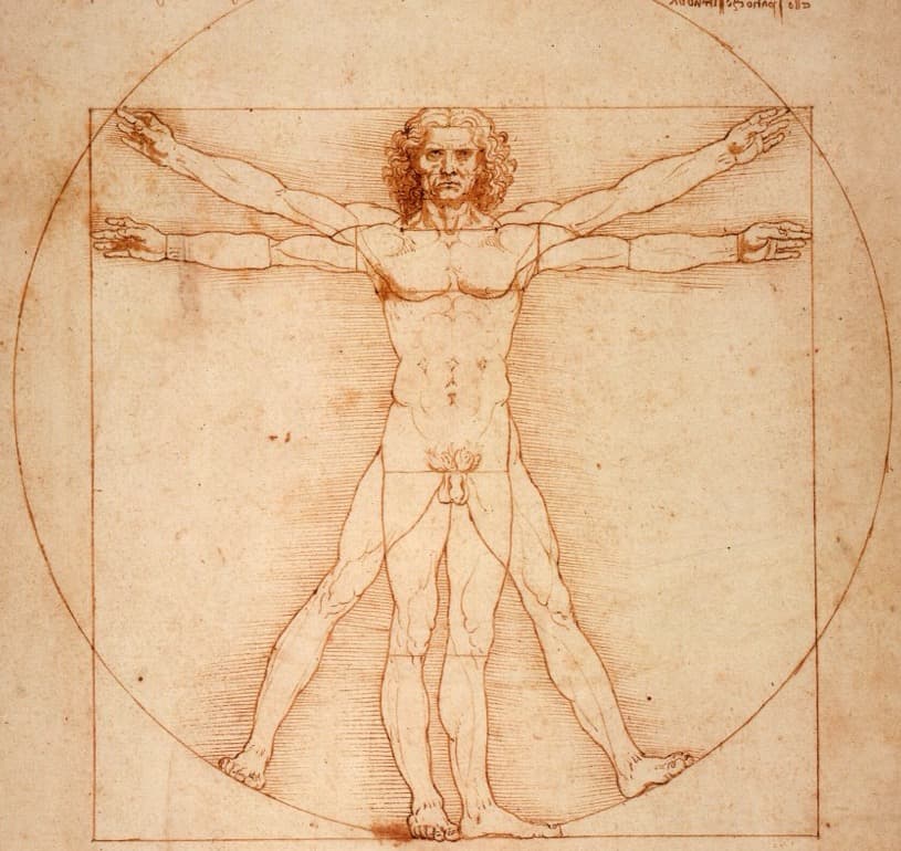 Leonardo da Vinci's Vitruvian Man: a standing figure with arms and legs in two positions, inscribed in a circle and a square.